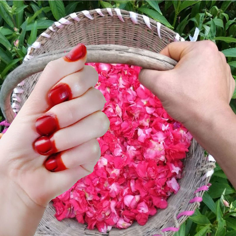 Nail Art Natural - ผงย้อมเล็บเฮนน่า 40 กรัม สำหรับผู้ชายและผู้หญิง ผงเฮนน่าจากพืชธรรมชาติ สีน้ำตาลแดงเข้ม
