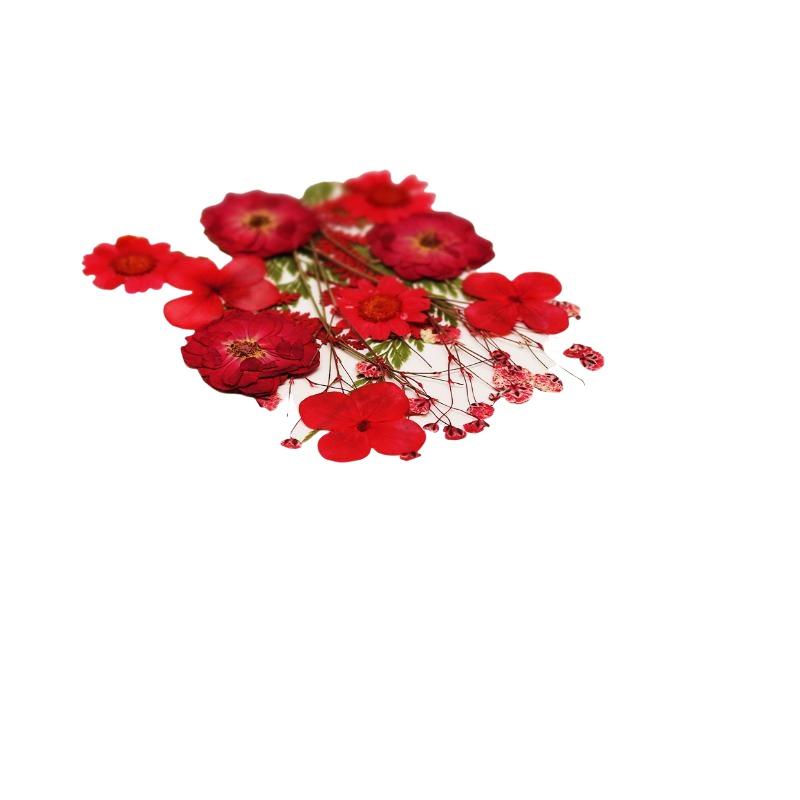 ดอกไม้แห้งธรรมชาติแท้สำหรับงาน - Nail Art Natural บทวิจารณ์และราคา